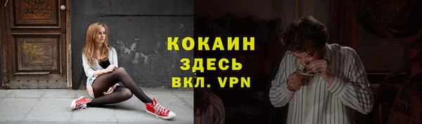 ПСИЛОЦИБИНОВЫЕ ГРИБЫ Ладушкин