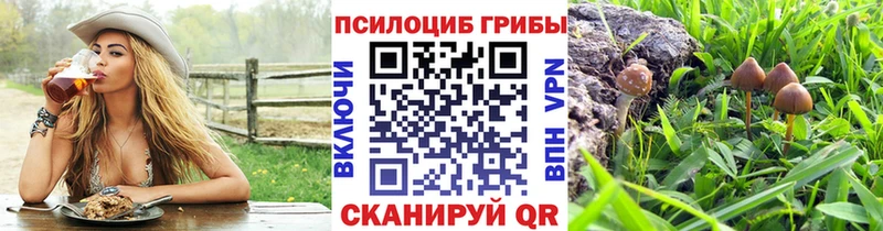 Псилоцибиновые грибы MAGIC MUSHROOMS  Южноуральск 